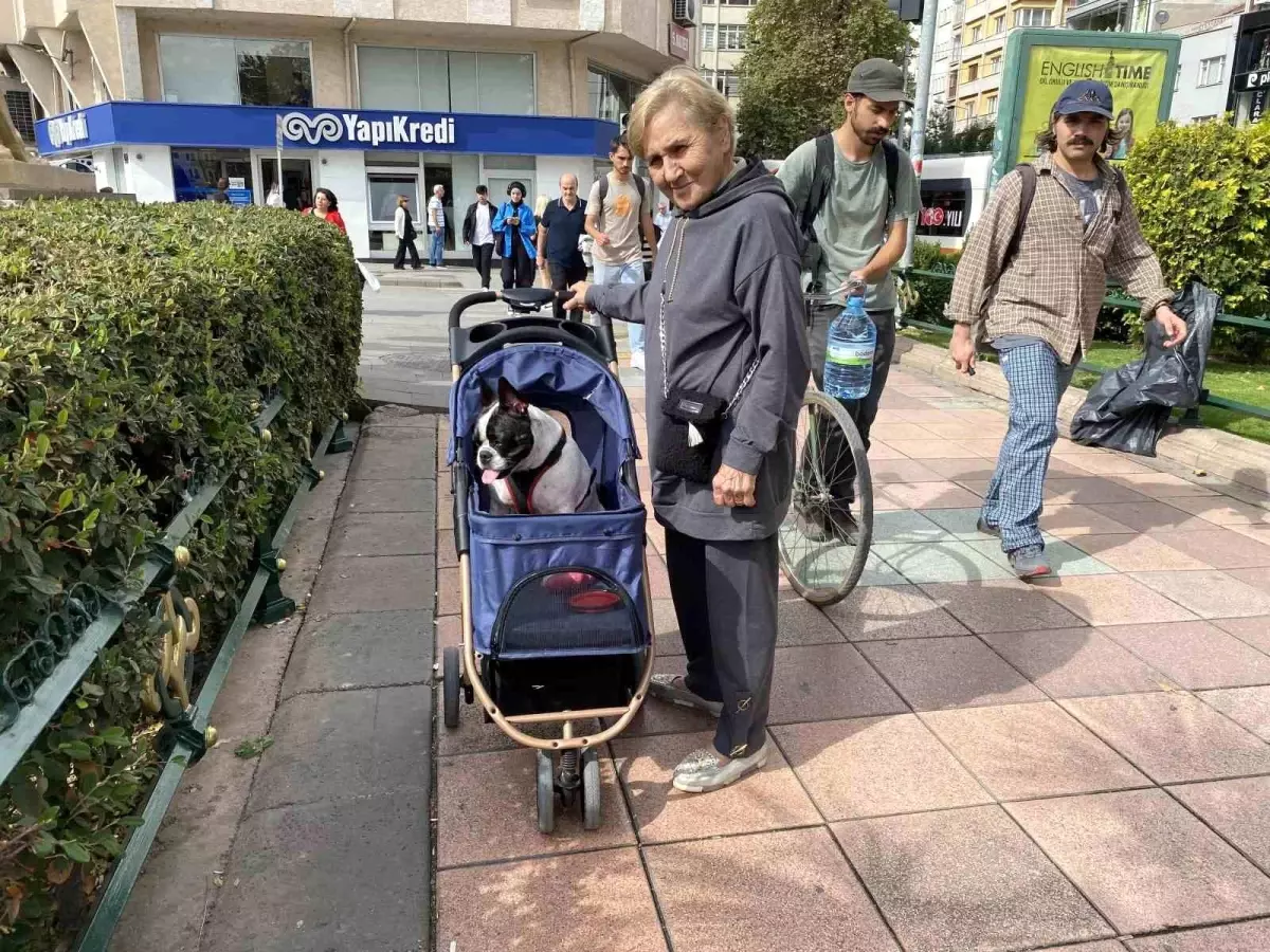 Eskişehir’de Bambi ile Dolaşmanın Keyfi